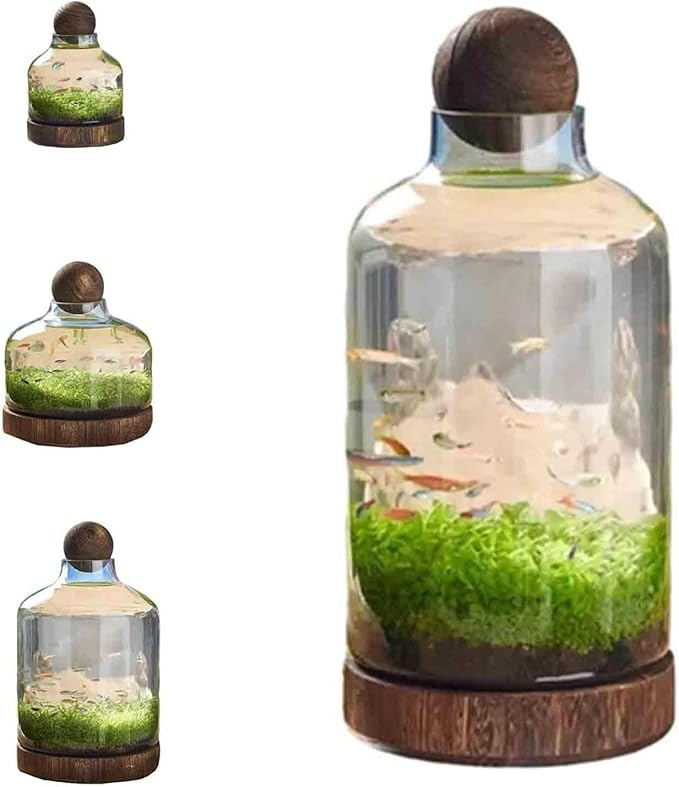 Glass Aquarium Fish Tank Plant Terrarium Bowl Micro Ecological Landscape Self-circulating Plant Vase Desktop Planter Jars Breeder Box, B