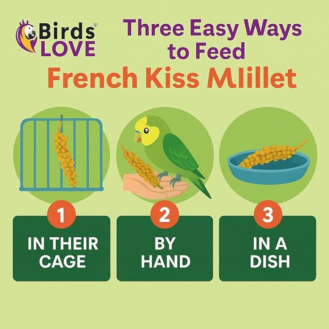 Birds LOVE 5lbs French Kissed Spray Millet for Birds – Harvested in France & Packed in The USA – 100% Natural & Sun‑Dried Millet Spray for Parakeets, Cockatiels, Conures, Parrots & Budgies