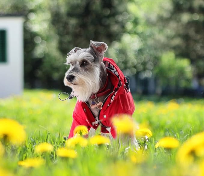 Morezi Dog Zip Up Raincoat with Reflective Buttons, Rain/Water Resistant, Adjustable Drawstring, Removable Hood, Raincoats with Legs 8lbs to 80lbs Available - Pink - XXL