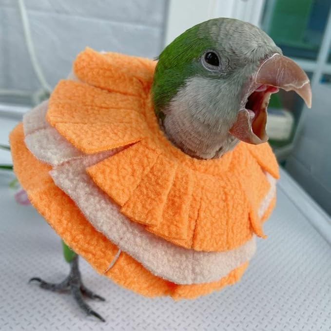 Bird Collar Anti Bite Elizabethan Recovery Cone, Bird Neck Protector for Feather Plucking, Bird Neckwear Full Body Shield for Parakeet Color Randomly (Lovebird)