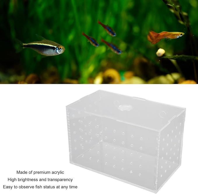 Fish Breeder Box, Aquarium Fish Breeding Box, High Transparency Acrylic Hatchery Incubator with Suction Cups for Baby Fish Shrimp Clownfish Isolation and Rearing (14 * 8 * 9CM)