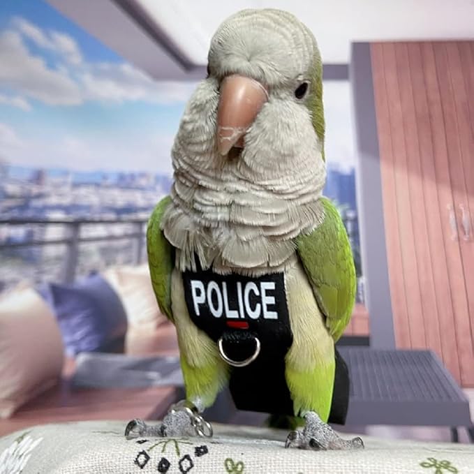 Bird Clothes Parrot Diapers Bird Flight Suits, Reusable Waterproof Diapers pet Bird Supplies (4XL)