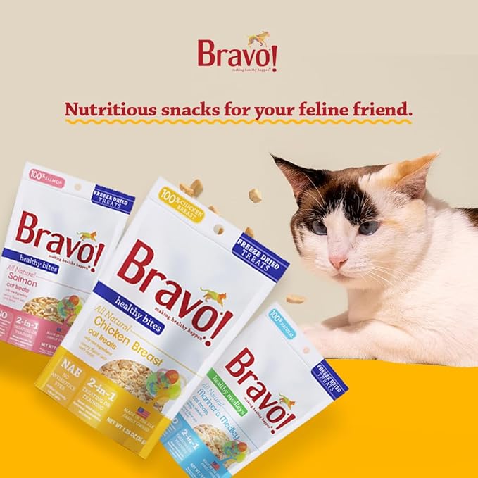 Bravo! Healthy Bites Single Ingredient Freeze Dried Raw Cat Treats, Salmon, 1 Ounce, High Protein, Grain Free, Gluten Free