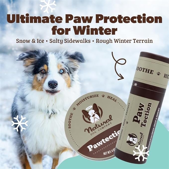 Natural Dog Company PawTection Balm for Dogs – Winter Paw Protection from Snow, Ice & Salt, Wax-Based Paw Barrier Balm, All Breeds for Cold Weather Walks & Outdoor Adventures, Lick-Safe, 2 oz Stick