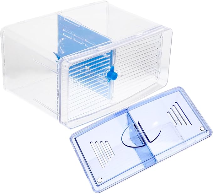 Fish Breeding Tank with Removable Divider Isolation Box for Fish Shrimp Easy to Clean Lightweight Aquarium Hatchery for Betta
