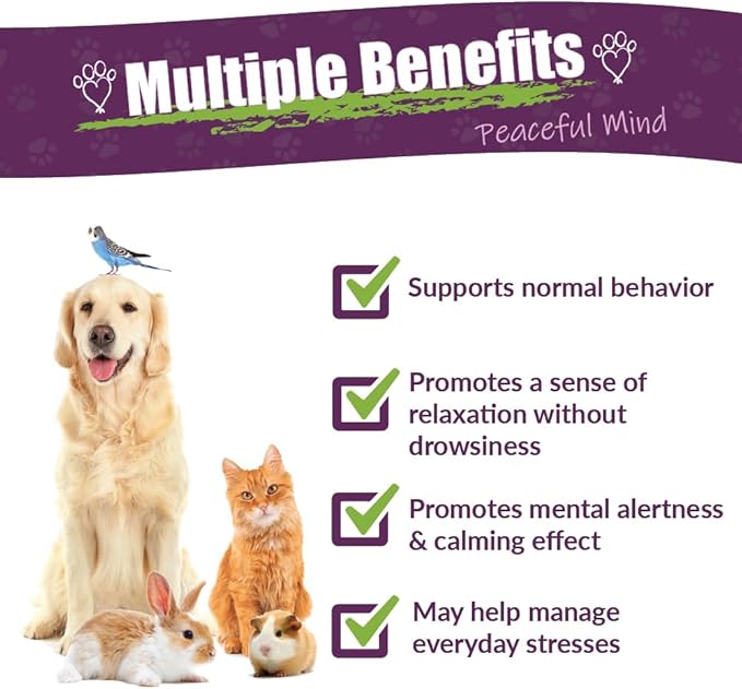 AMBER NATURALZ Pyntril Peaceful Mind Herbal Supplement for Dogs, Cats, Birds, Guinea Pigs, and Rabbits | Herbal Pet Supplement for Relaxation | 1 Fluid Ounce Glass Bottle | Manufactured in The USA