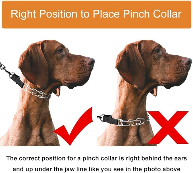CBBPET Dog Prong Collar, Adjustable Dog Training Collar with Quick Release Buckle for Small Medium Large Dogs