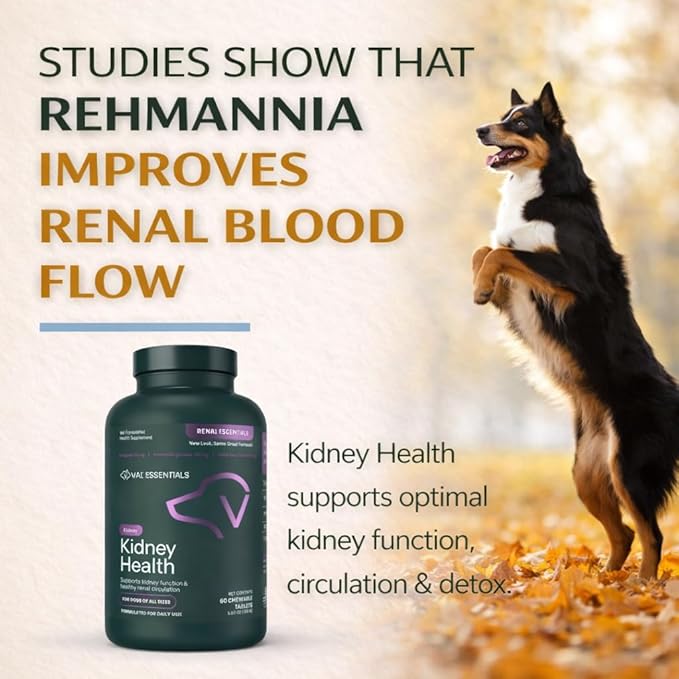 VetriScience Kidney Health Chewable Tablets, Renal Essentials Supplement for Dogs, Urinary Tract and Kidney Support with Mushroom, Astragalus Root, Nettle Seed and Herbs, Smoke, 60 Count