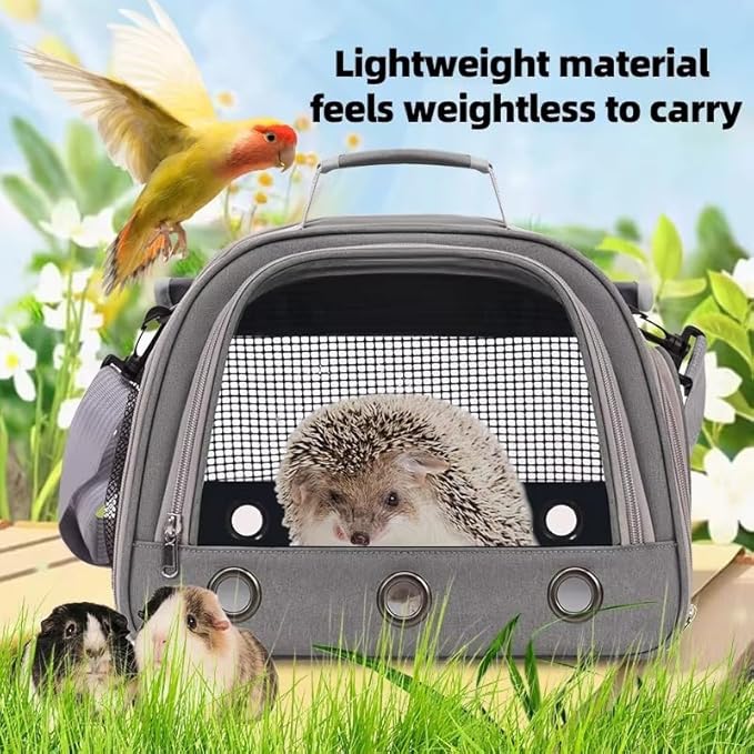 Portable Foldable Transparent Pet Travel Backpack – Oxford Fabric Design with Ventilated Windows, Lightweight and Comfortable Carrier for Birds, Small Reptiles, and Exotic Pets (Green)