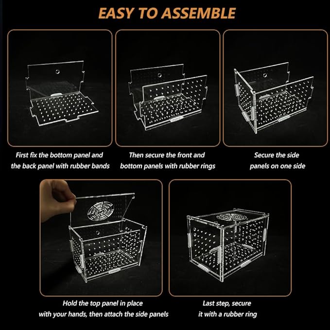 GKPONSX Acrylic Fish Breeding Box, Transparent Fish Isolation Box Hatchery Incubator with Suction Cups for Aquarium Fish Tank Guppy Shrimp Clownfish African Cichlids (6 * 4 * 4inch)