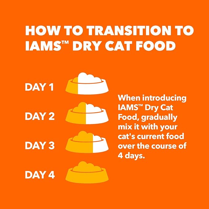 IAMS Healthy Enjoyment Dry Cat Food Chicken & Salmon Recipe, Cat Food Dry Recipe, 15 lb. Bag