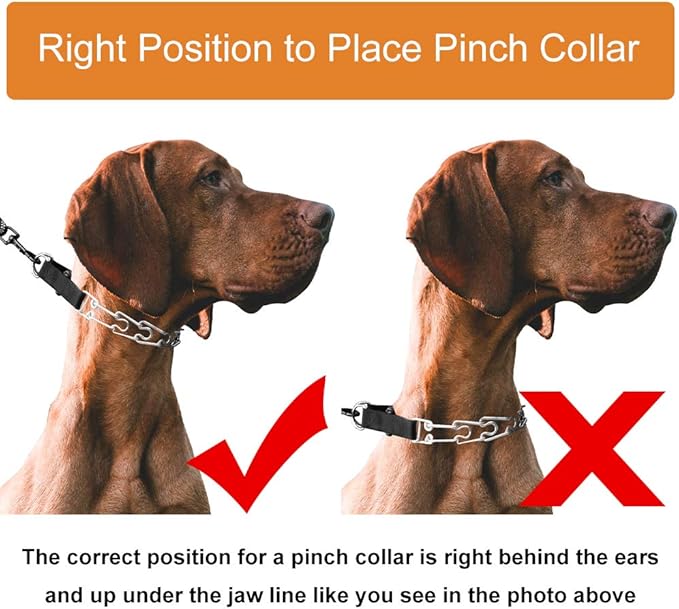 CBBPET Dog Prong Collar, Adjustable Dog Training Collar with Quick Release Buckle for Small Medium Large Dogs