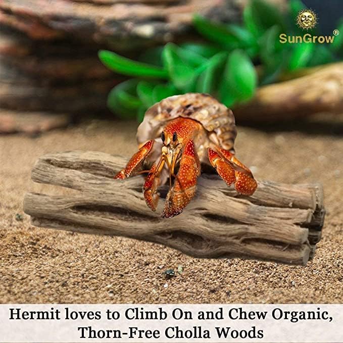 SunGrow Hermit Crab Woods, Climbing Logs, Chews, Keep Hermies Busy and Active, Long Dried Aquarium Décor Adds Raw Beauty