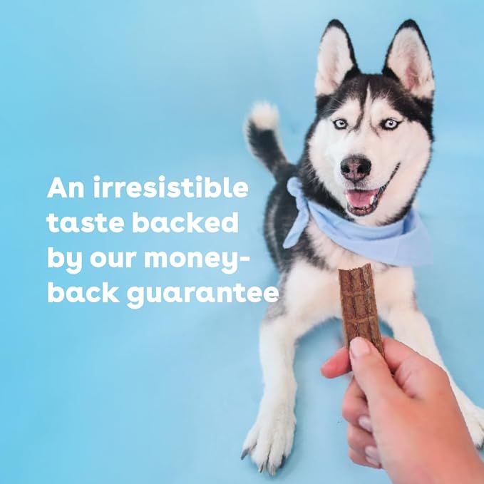 Pupford Pork Jerky for Dogs & Puppies, All-Natural, Healthy Dog Treats, No Fillers, Made in USA (10 oz)