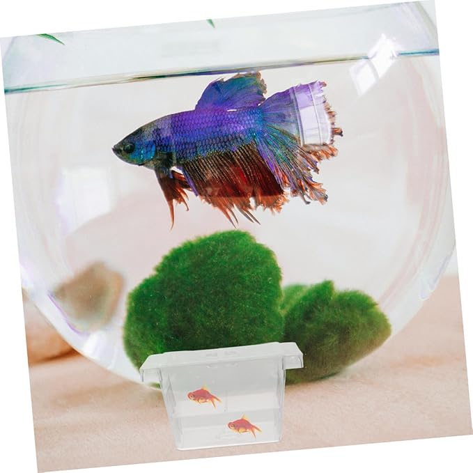 Beaupretty 4pcs Self-Floating Fish Fry Breeding Box Aquarium Nursery Incubator with Dual-Layer Separation for Betta Fish Tank Protection and Observation