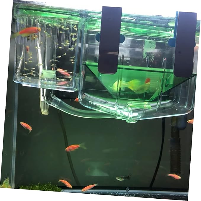 Yardwe Self-Guided Fish Breeding Tank Transparent Incubator Box for Hatching Fish Eggs Isolation Case for Protecting Aquarium Home Setup