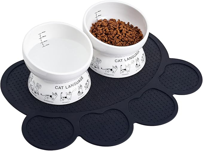 Ceramic Raised Cat Bowls | Tilted Elevated Bowl for Food and Water | Small Dog Bowl With Anti-Slip Silicone Pet Food Mat | 2 Pack Black Set
