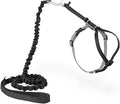 PetSafe Come With Me Kitty Cat Harness & Bungee Leash - Comfortable Cat Harness with Lightweight Bungee Leash for Outdoor Fun - More Secure Walks - Small - Black