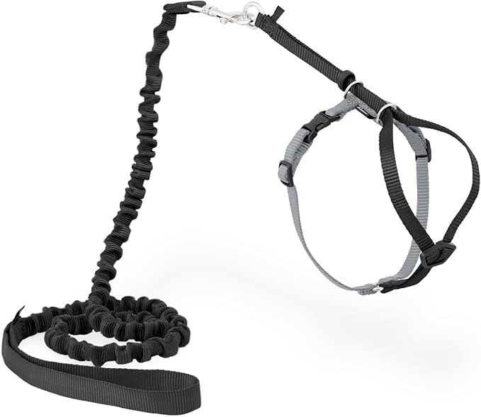 PetSafe Come With Me Kitty Cat Harness & Bungee Leash - Comfortable Cat Harness with Lightweight Bungee Leash for Outdoor Fun - More Secure Walks - Small - Black