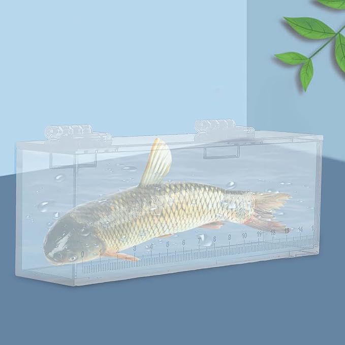 Fish Watching Box Fishing Photo Tank Hatchery Incubator Acrylic Portable Storage Box Fish Egg Breeding Case Isolation Breeder Box Photo Box, L