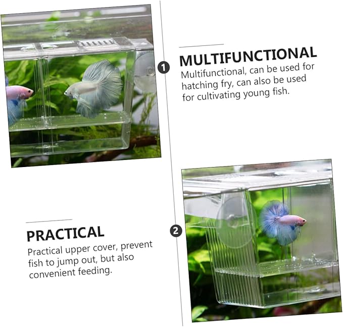 BESPORTBLE Floating Fish Incubation Box Observation Fry Breeding Tank Suction Cup for Aquarium
