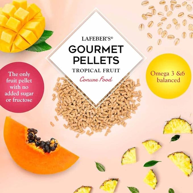 LAFEBER'S Tropical Fruit Gourmet Pellets Pet Bird Food, No Added Sugar, Made with Non-GMO and Human-Grade Ingredients for Conures (1.25 Ib Pack of 2)