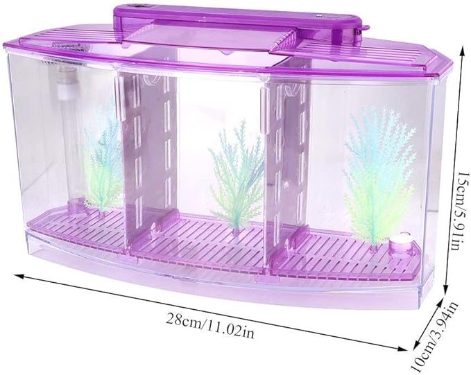 Acrylic Aquarium Isolation Box,Mini Fish Tank Breeding Hatchery Small Fishes Incubator with Three Divisions and LED Light(Purple)