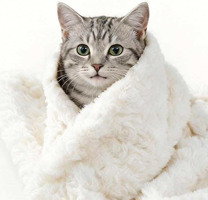 Cat Blanket for Indoor Cats Ultra-Soft Plush Small Blanket Machine Washable Cozy Calming for Kittens Cats Bed Couch Car 21"x18" White