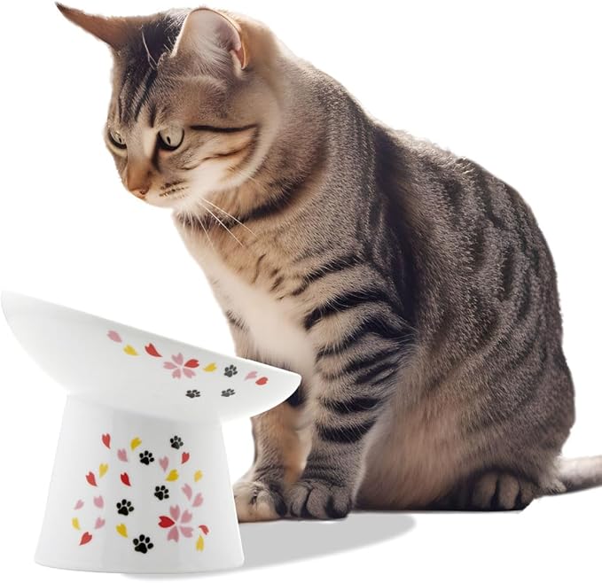 Necoichi Raised Cat Food Bowl – Ceramic Elevated 15° Tilted Bowl for Whisker Fatigue, Dishwasher & Microwave Safe, Non-Slip Anti-Vomiting Ergonomic Design (Sakura Floral, Extra Wide, 1.5-Cup Capacity)