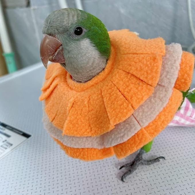 Elizabethan Recovery Cone Bird Collar - Anti Bite Neck Protector for Feather Plucking, Full Body Shield for Parakeet (Blue Quaker)