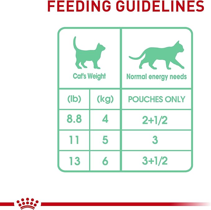 Royal Canin Feline Care Nutrition Digestive Care Adult Chunks in Gravy Cat Food, 3 oz (Pack of 12)