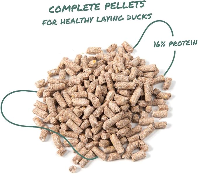 Manna Pro Duck Layer Pellet | High Protein for Increased Egg Production | Formulated with Probiotics to Support Healthy Digestion | 25 Pounds