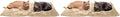 Furhaven ThermaNAP Self-Warming Cat Bed for Indoor Cats & Large/Medium Dogs, Washable & Reflects Body Heat - Quilted Faux Fur Reflective Bed Mat - Cream, Large (Pack of 2)