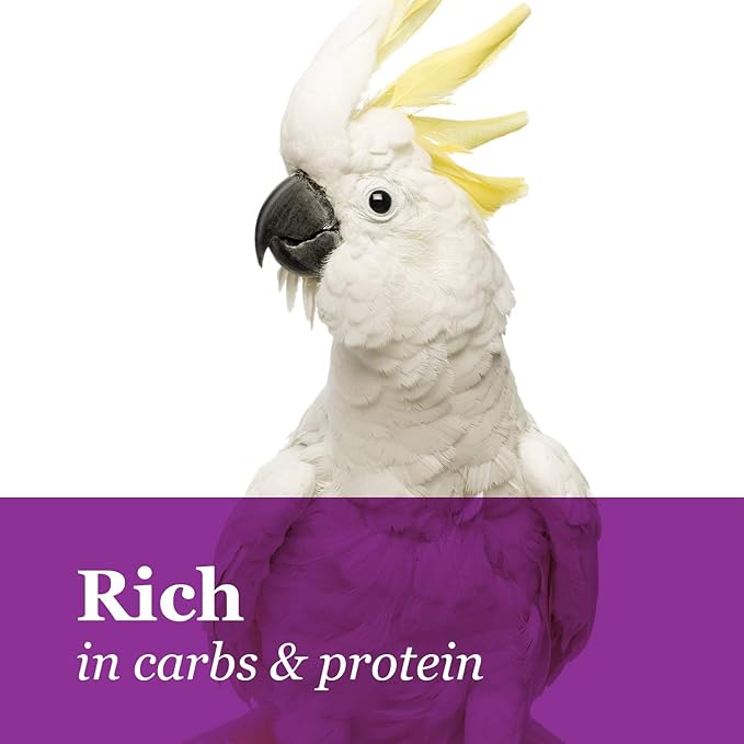 F.M. Brown's Tropical Carnival Natural Mini Spray Millet Foraging Treat for Canaries, Finches, Parakeets, Cockatiels, and Parrots, 4-oz Bag - USA Grown and Harvested
