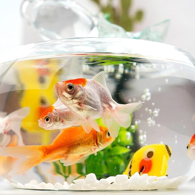 Fish Tank Goldfish Bowl Fish Tank Goldfish Flowing Water Ornament Glass Mini Desktop Home Living Room Aquarium Starter Kits Glass Fish Tank(B)