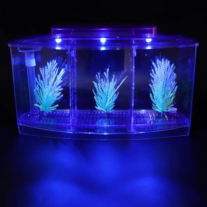 Acrylic Aquarium Isolation Box,Mini Fish Tank Breeding Hatchery Small Fishes Incubator with Three Divisions and LED Light(Purple)