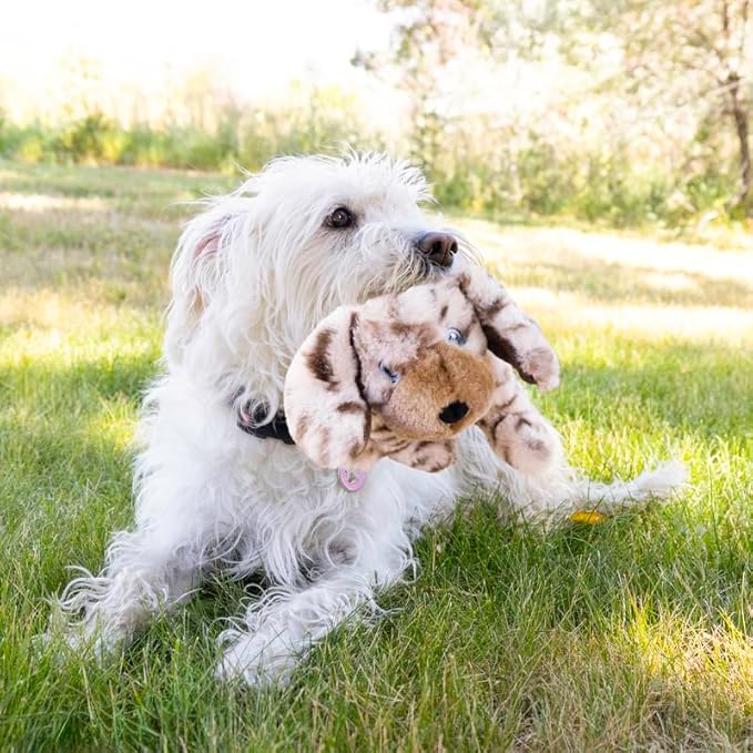 KONG Toughz Durable Plush Dog Toy - Long-Lasting Soft Chew Toy for Aggressive Chewers, Safe & Interactive for Dogs (Pup)