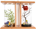 Dual Chamber Bamboo Desktop Aquarium - Mini Betta Fish Tank with LED Light, 360° View Glass Tanks for Goldfish or Small Fish, Home Office Decor