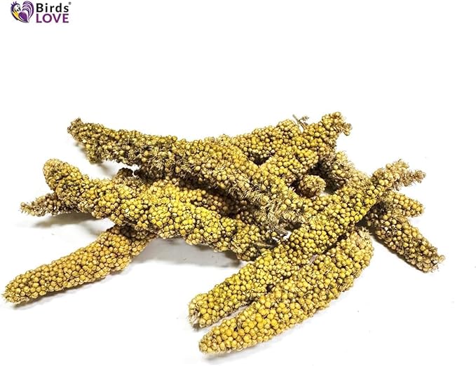 Birds LOVE Millet Tips & Tails for Birds - Parakeets, Cockatiels, Lovebirds, Budgies, Canaries, Cockatoos - Natural & Healthy Millet for Bird, Parakeet Food & Treats for All Parrots, 1lb (Pack of 25)