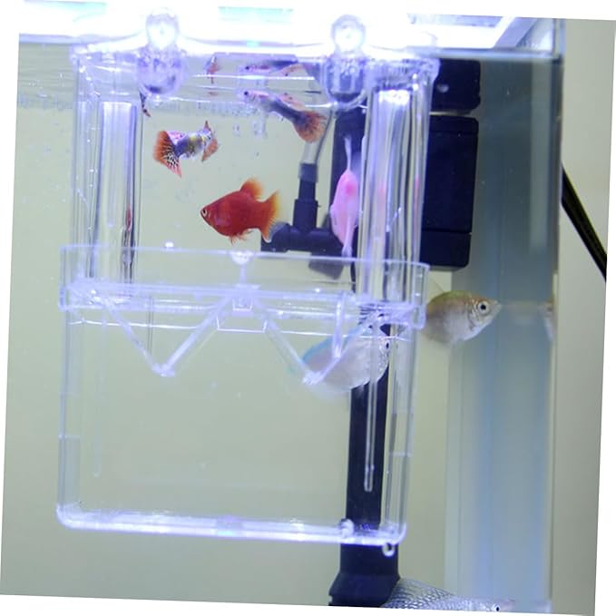 NOLITOY Ornamental Fish Habitat Box Fish Hatching Box Aquarium Breeding Tank Double Layer Incubator Safe and Easy to Clean