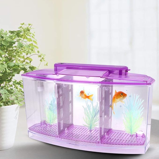 Aquarium Fish Led Light Kid Friendly Small Fish Three Divisions Breeding Isolation Mini Aquarium komplettset LED Acrylic Box Betta for Small Fishes()