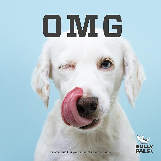 12 inch Thick Bully Sticks for Medium to Large Dogs - 10 Pack - Long Lasting, All Natural, Single Ingredient, Easily Digestible, Beef Dog Treats and Rawhide Free Dental Chews for Dogs