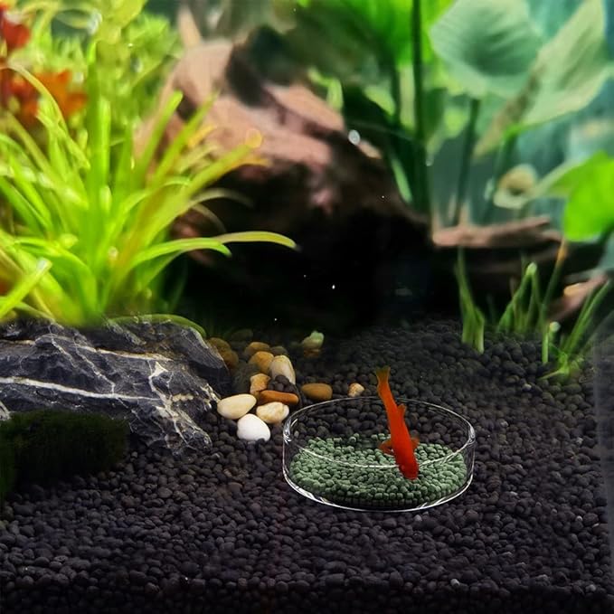 Aquarium Glass Feeder Dish Shrimp Feeding Dish Round Clear Glass Fish Feeder Bowl Fish Tank Food Tray Container Prevent Food Spilling, 60mm