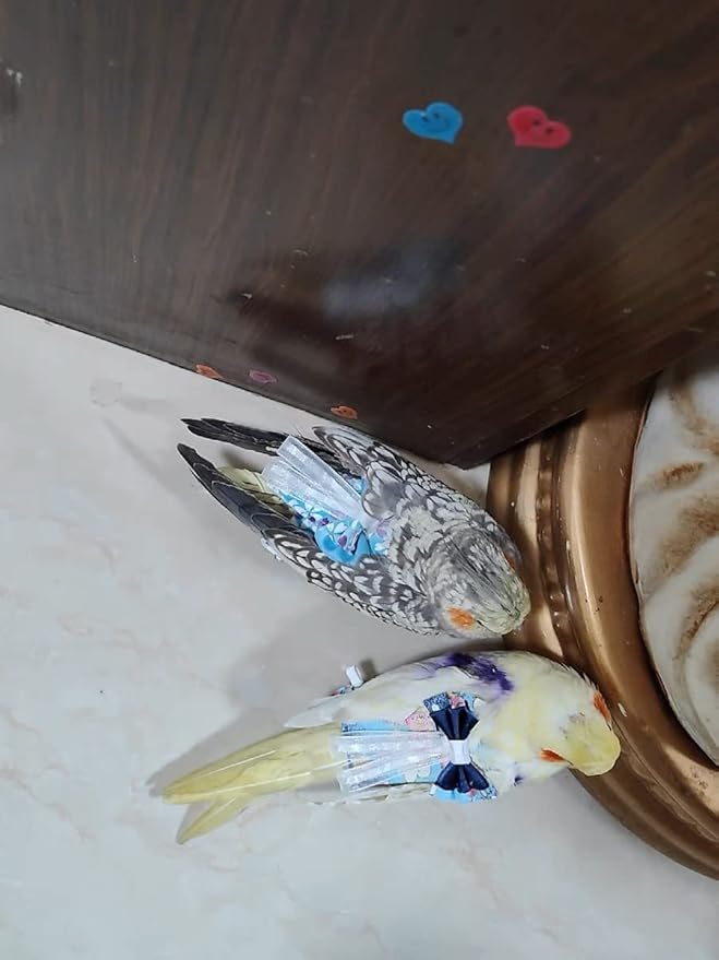 Bird Flight Suits Diapers, Parrot Diapers for Monk Parakeets, Cockatiels, Parrot Clothes Costume, Bird Training Nappy Suit Liners Clothes (Small,Blue-A)