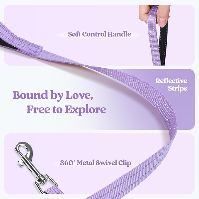 rabbitgoo Dog Harness Medium Sized and Leash Set, Step in Soft Light Puppy Vest, Breathable Mesh Pet Harness, Reflective for Safe Easy Walking, Light Purple XXL