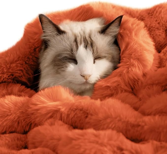 Self-Warming Cat Blanket, Dual-Side Plush Sherpa Throw with Anti-Static, Snuggle Mat for Kittens & Cats, Cozy Bed Topper for Windowsills & Couches, Machine Washable & Dryable, 21x18 Inch Orange