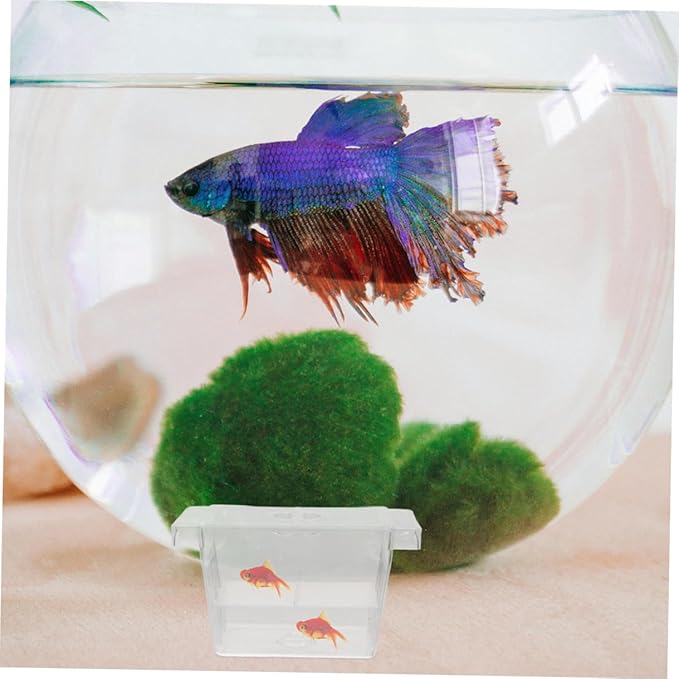 GANAZONO 4pcs Double-Layer Fish Fry Incubator Box Self-Floating Aquarium Breeding Box for Fish Tank Nursery and Isolation of Betta