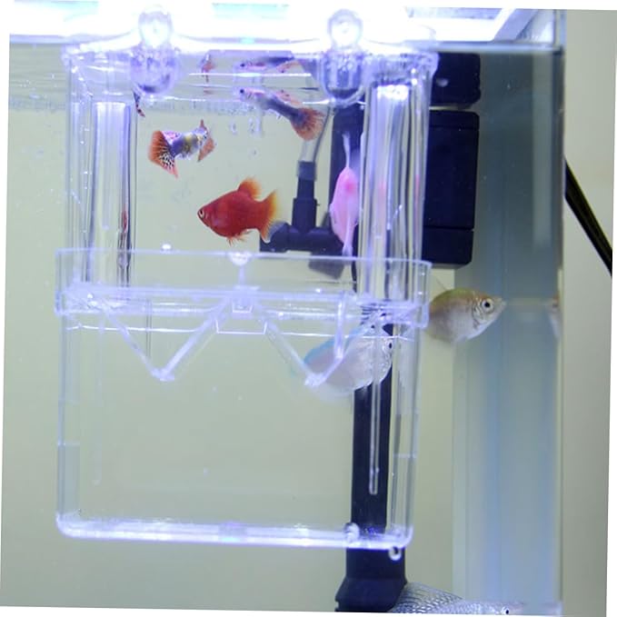 Housoutil Fish Breeding Tank Hatching Box Betta Fish Habitat Box for Aquarium Easy to Clean