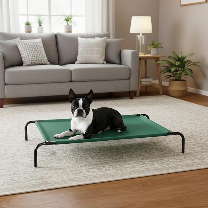 Amazon Basics Cooling Breathable Elevated Dog Bed with Metal Frame for Large Dogs, 51 x 31 x 8 Inch, Green