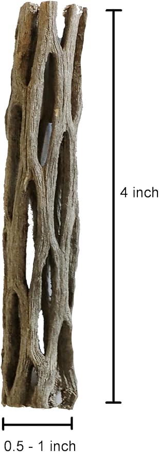 Natural Cholla Wood for Aquarium Decoration Shrimp and Fish Tank (4 Inch (5 Pack))